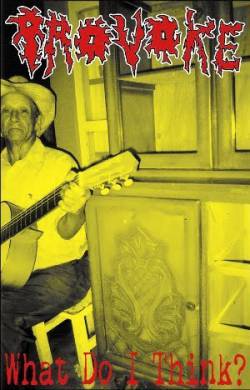 Provoke : What Do I Think? - In-Doom-Strial